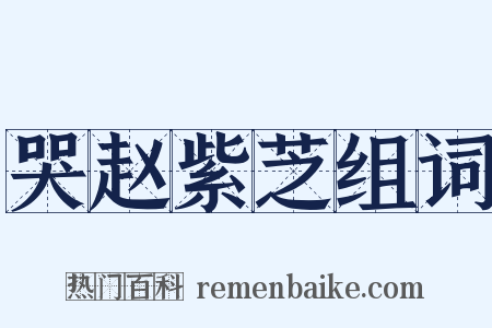 哭赵紫芝组词是什么意思的图片